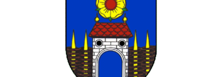 17670109870378-285-velesin