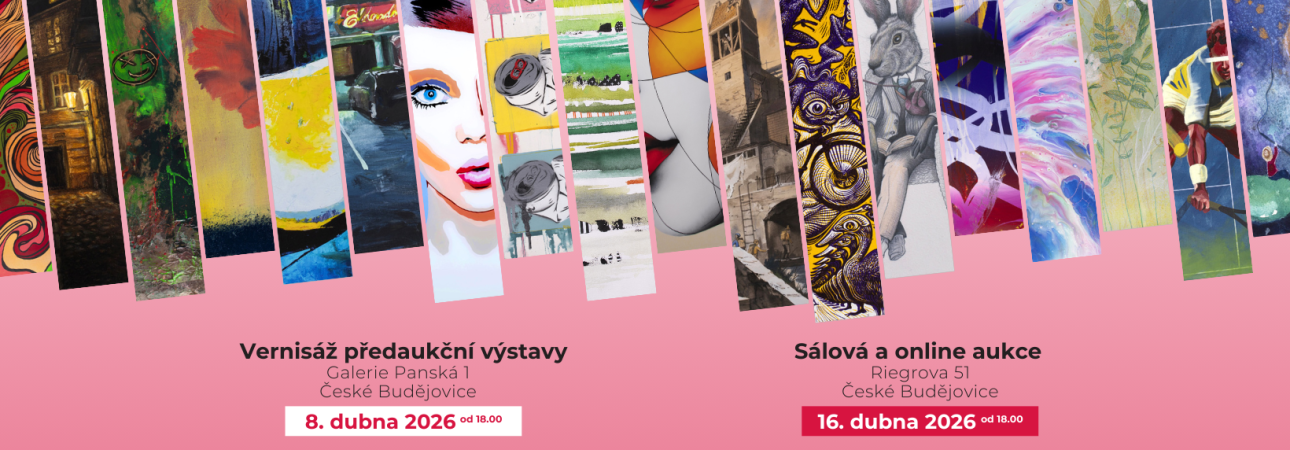 Přineste s námi světlo do domovů nevyléčitelně nemocných... (4)