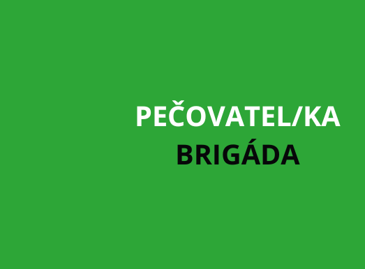 České Budějovice: Pečovatel/ka v terénních sociálních službách - BRIGÁDA