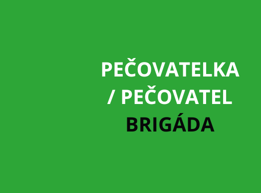 České Budějovice: Pečovatel/ka v terénní odlehčovací službě - BRIGÁDA