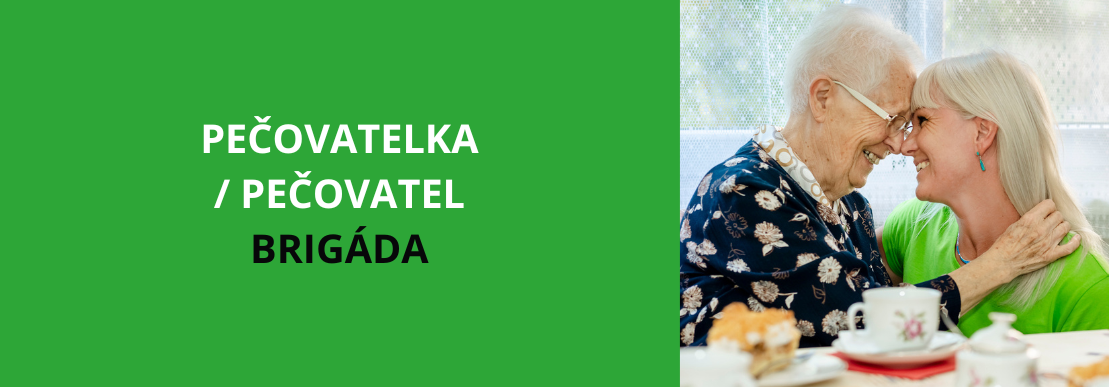 České Budějovice: Pečovatel/ka v terénní odlehčovací službě - BRIGÁDA