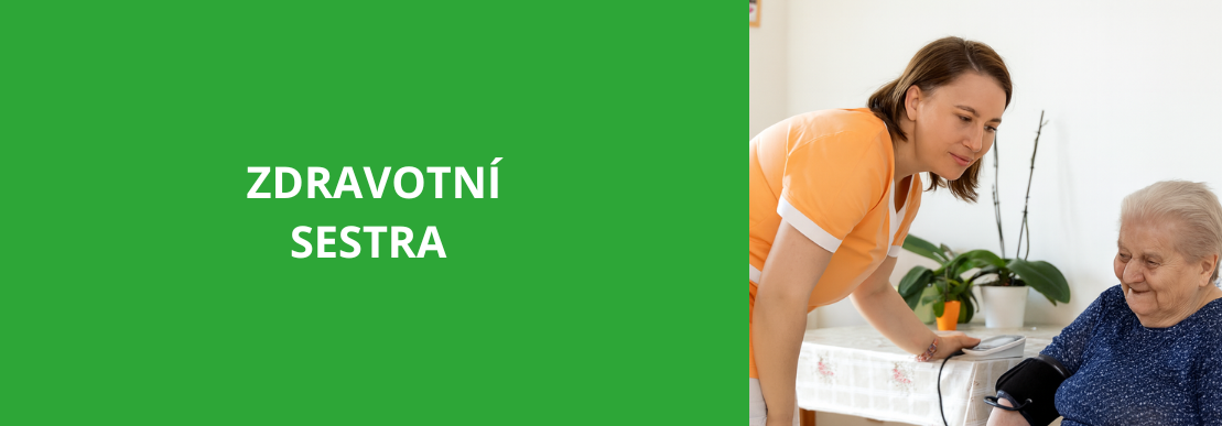 17562885370138-285-domovy-zdravotni-sestra-2