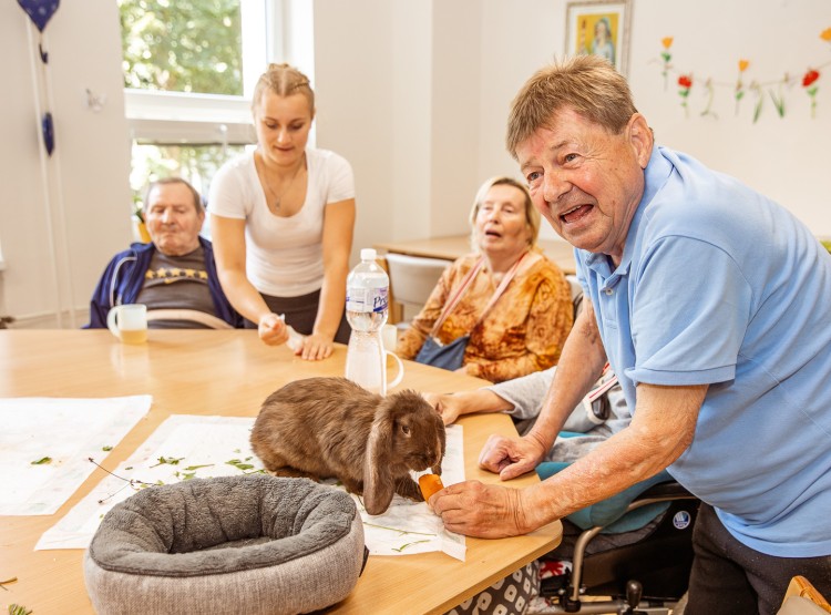 Jak to v CSS Domus vypadá?