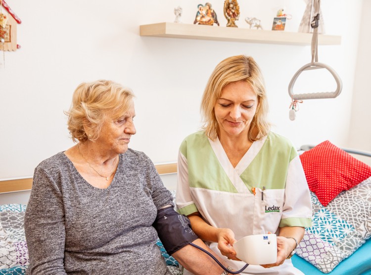 Jak to v CSS Domus vypadá?