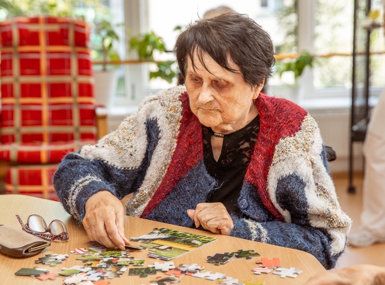 Jak to v CSS Domus vypadá?