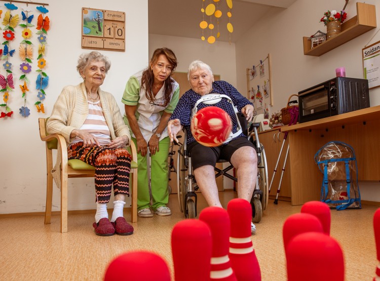 Jak to v CSS Domus vypadá?