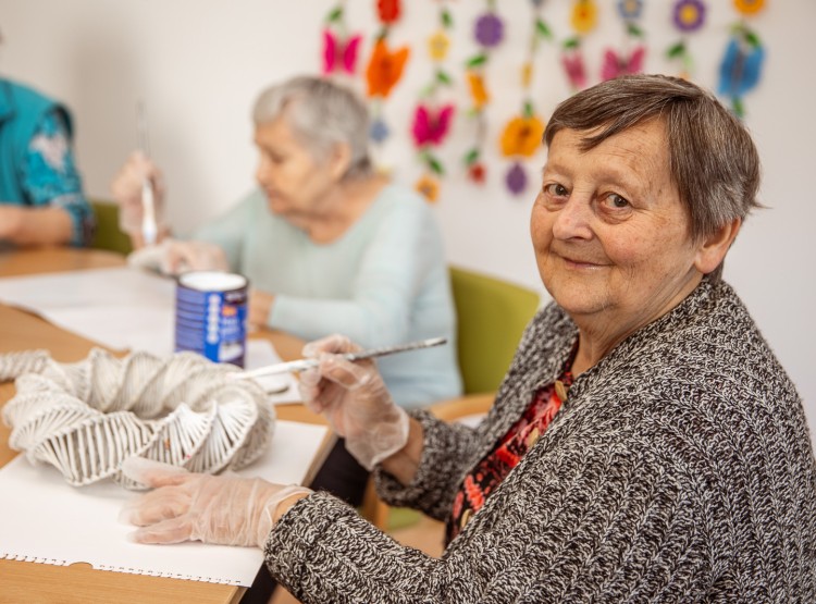 Jak to v CSS Domus vypadá?