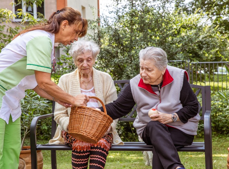 Jak to v CSS Domus vypadá?