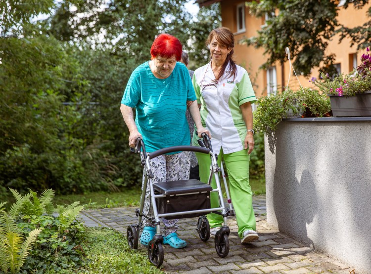 Jak to v CSS Domus vypadá?