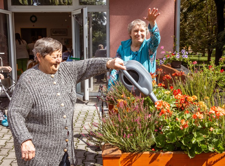 Jak to v CSS Domus vypadá?