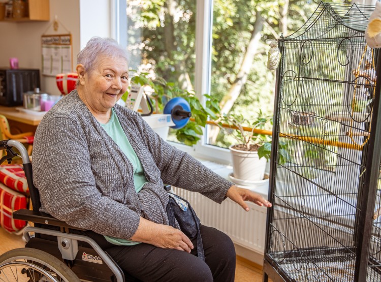 Jak to v CSS Domus vypadá?