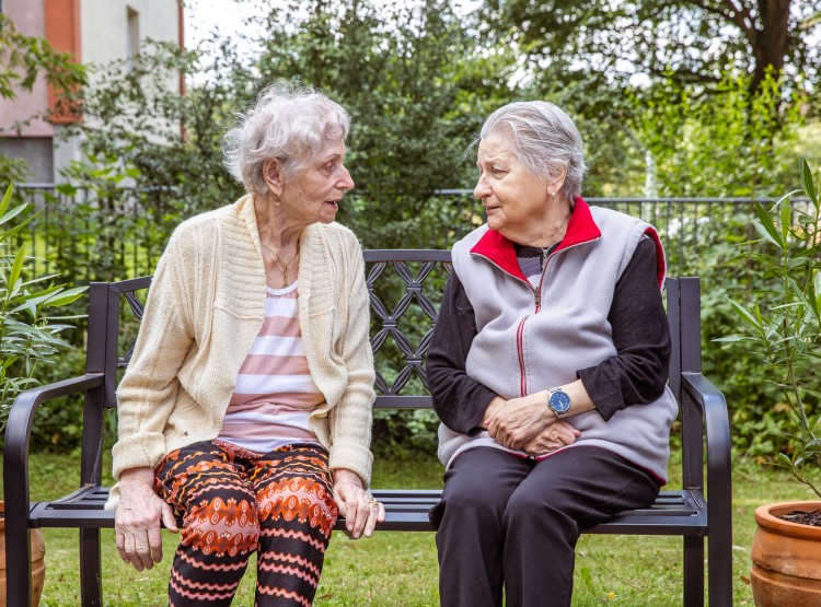 Jak to v CSS Domus vypadá?