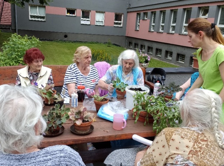 Aktivity v Centru sociálních služeb Domus v 25. týdnu