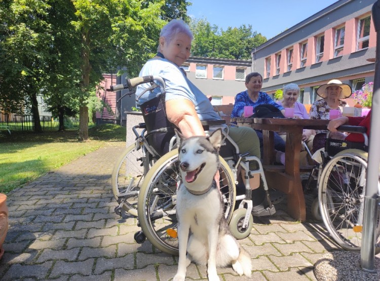 Aktivity v Centru sociálních služeb Domus v 28. týdnu