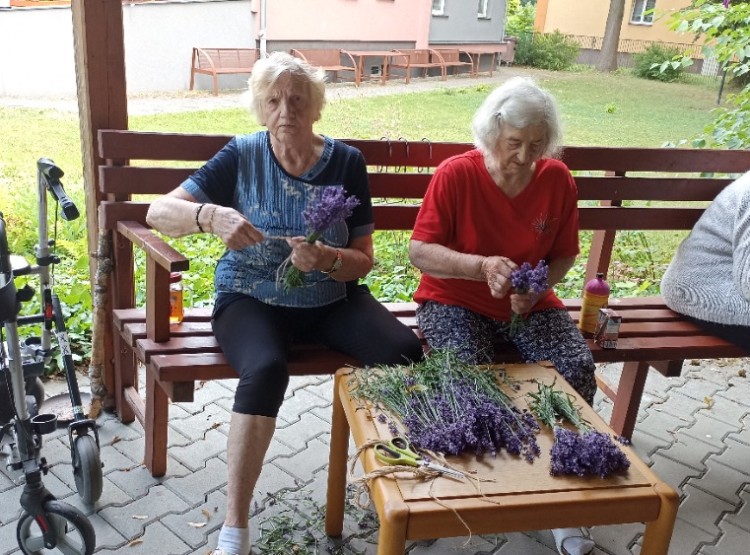 Aktivity v Centru sociálních služeb Domus v 28. týdnu