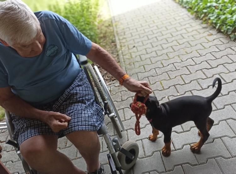 Aktivity v Centru sociálních služeb Domus v 29. týdnu