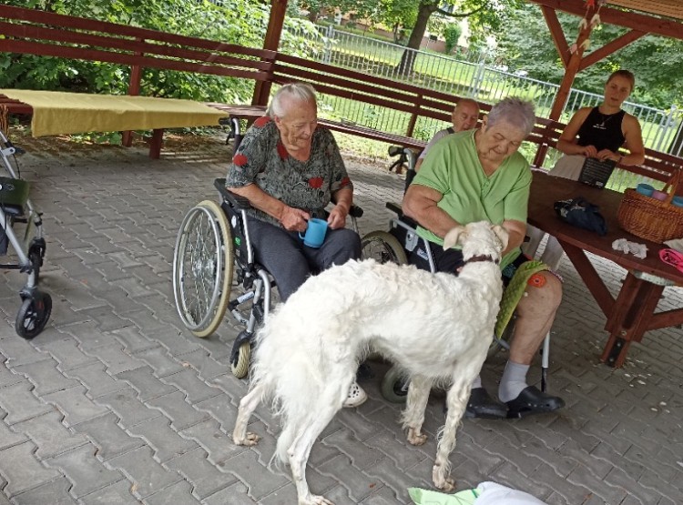 Aktivity v Centru sociálních služeb Domus v 29. týdnu