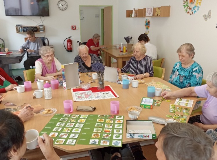 Aktivity v 31. týdnu v Centru sociálních služeb Domus