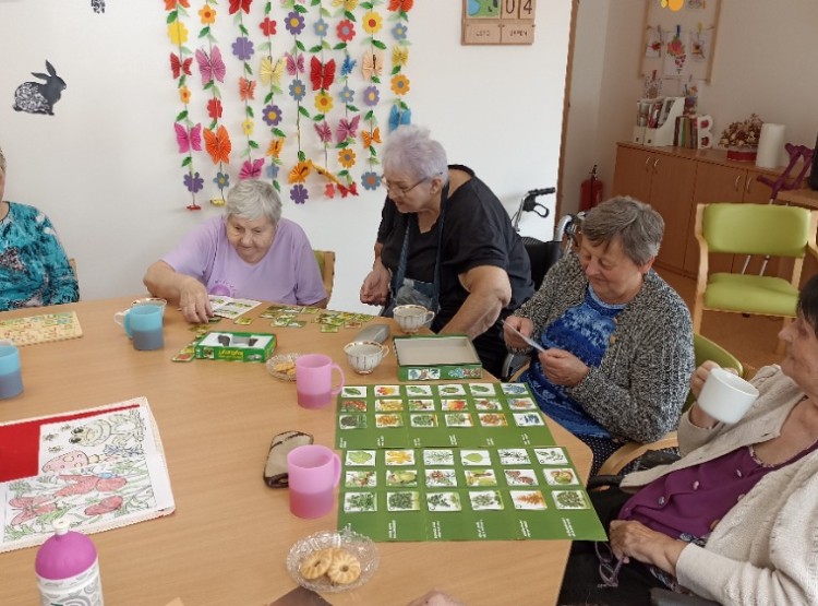 Aktivity v 31. týdnu v Centru sociálních služeb Domus