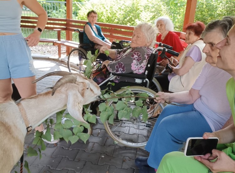 Aktivity v červnu 2023 v Centru sociálních služeb Domus