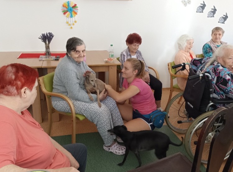 Canisterapie a zooterapie v Centru sociálních služeb Domus