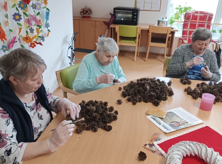 Aktivity ve 41. týdnu v Centru sociálních služeb Domus