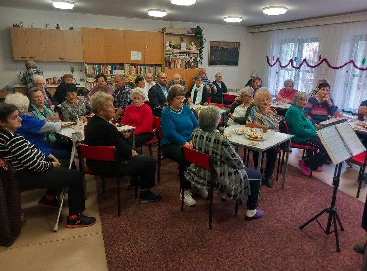 Posezení s harmonikářem Václavem Janečkem na DPS Borovany