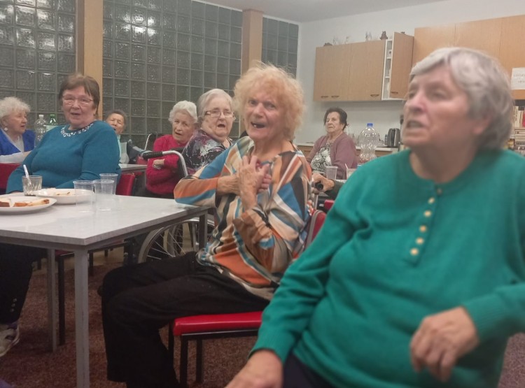 Posezení s harmonikářem Václavem Janečkem na DPS Borovany