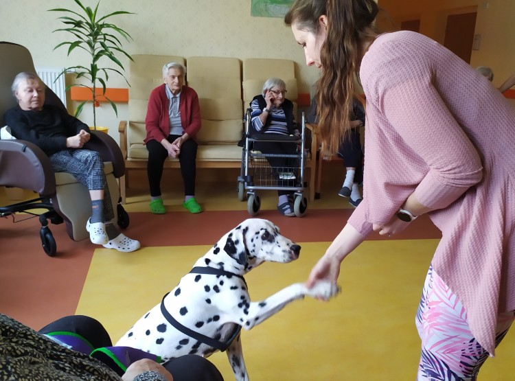 Návštěva dalmatinky Terezky v Domově pro seniory Vysoké Mýto