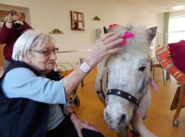 Návštěva paní Broni s poníkem v Domově pro seniory Vysoké Mýto