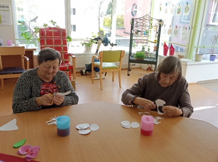 Aktivity ve 14. týdnu v Centru sociálních služeb Domus