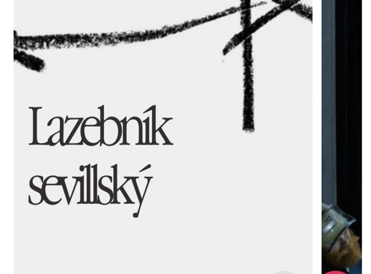 Návštěva opery Lazebník sevillský v Jihočeském divadle