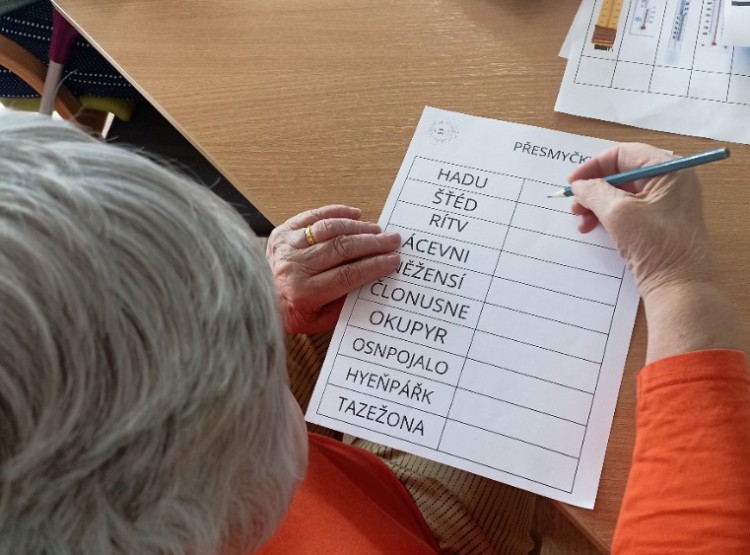 Aktivity v 19. týdnu v Centru sociálních služeb Domus
