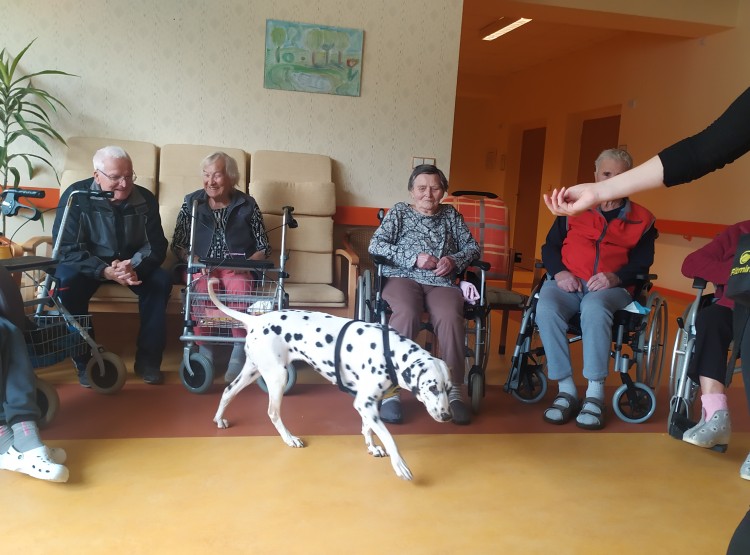 Aktivity v dubnu 2024 v Domově pro seniory Vysoké Mýto