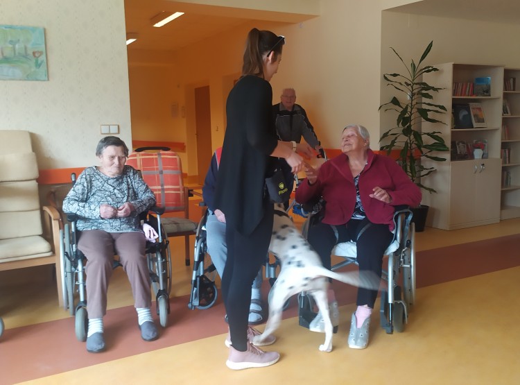 Aktivity v dubnu 2024 v Domově pro seniory Vysoké Mýto