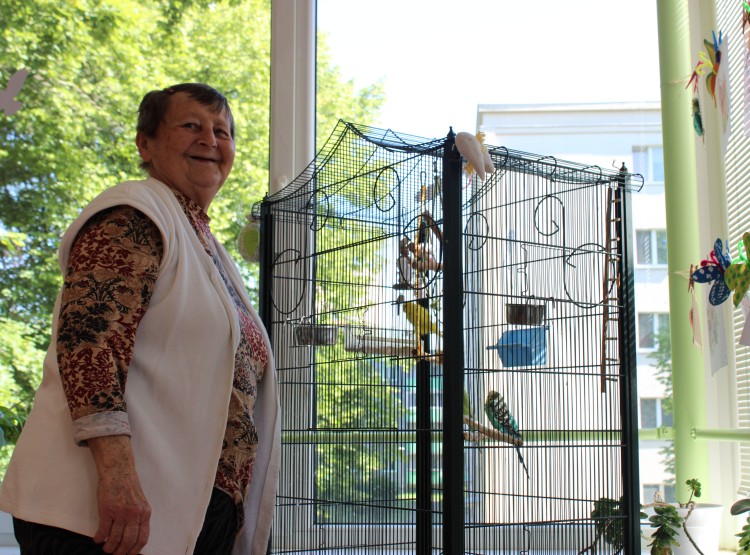 Péče o andulky v Centru sociálních služeb Domus