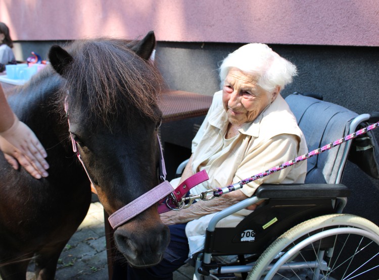 Animoterapie v Centru sociálních služeb Domus