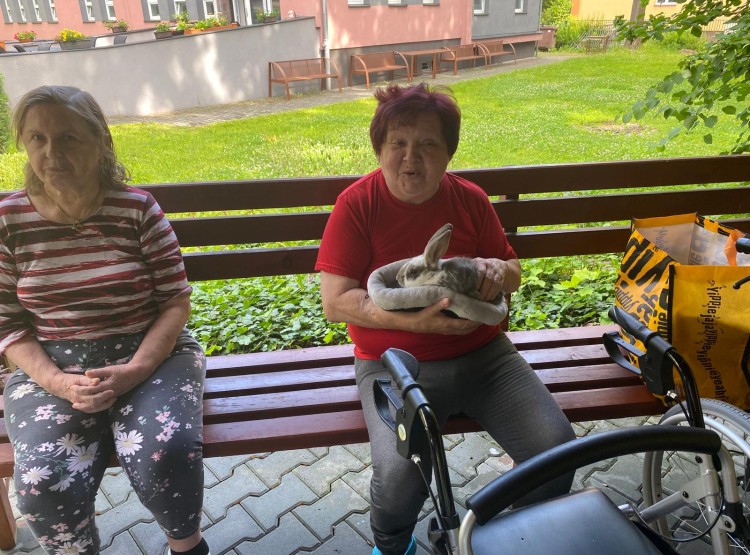 Mezigenerační setkání v Centru sociálních služeb Domus