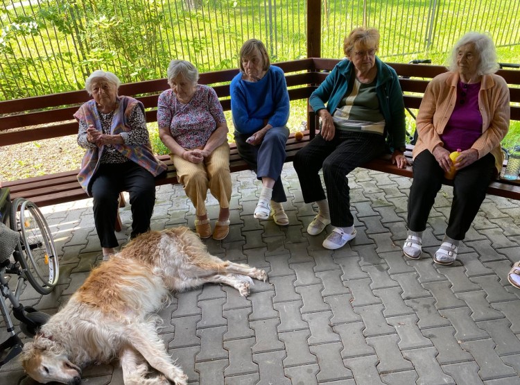 Mezigenerační setkání v Centru sociálních služeb Domus