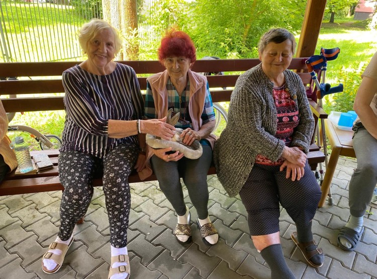 Mezigenerační setkání v Centru sociálních služeb Domus