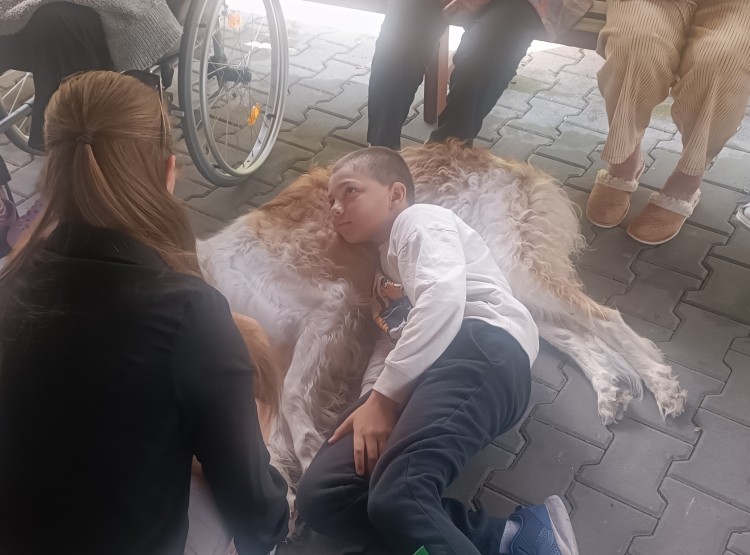 Mezigenerační setkání v Centru sociálních služeb Domus