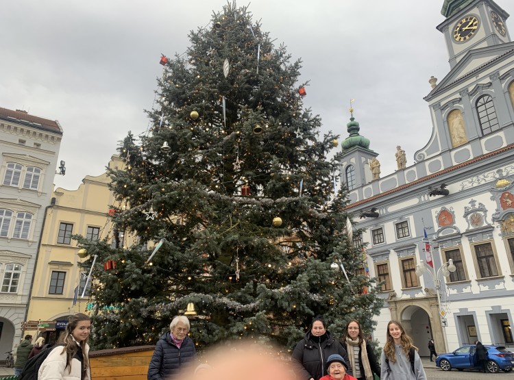 Návštěva vánočních trhů v Českých Budějovicích