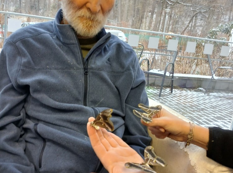 Zooterapie
