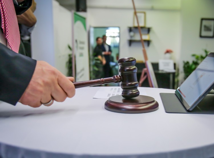 Jak jste si užili třetí Dobročinnou aukci pro Domácí hospic Ledax