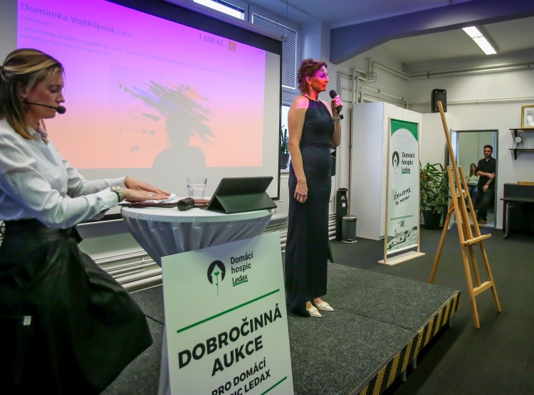 Jak jste si užili třetí Dobročinnou aukci pro Domácí hospic Ledax