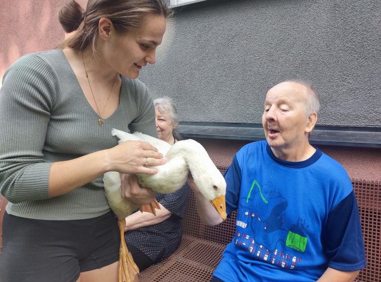 Zooterapie