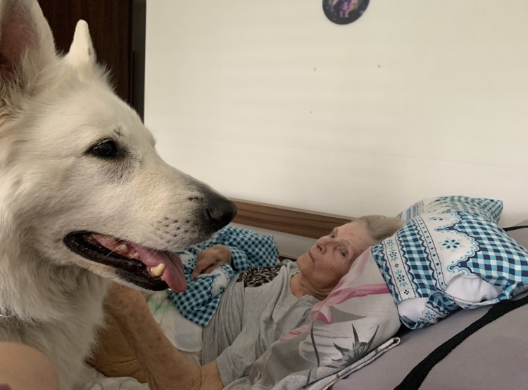 Polárka dorazila na canisterapii