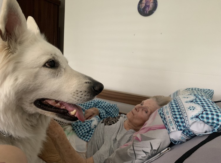 Polárka dorazila na canisterapii