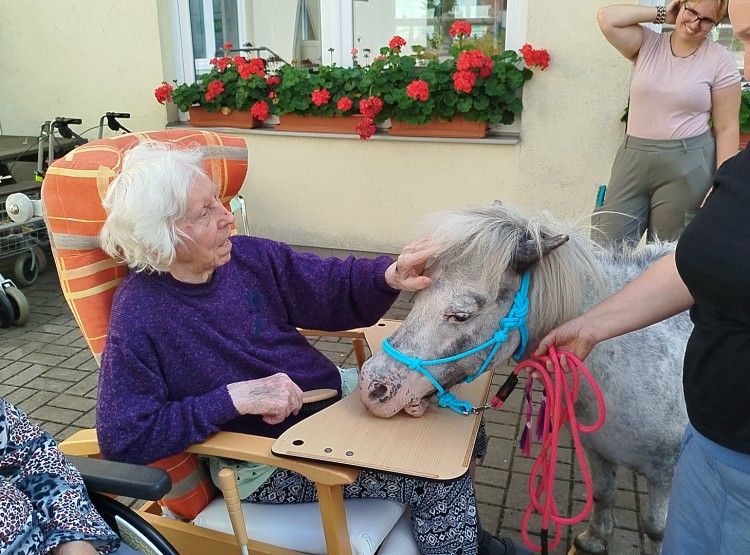 Návštěva terapeutického poníka