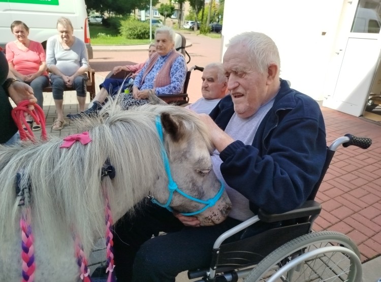 Návštěva terapeutického poníka
